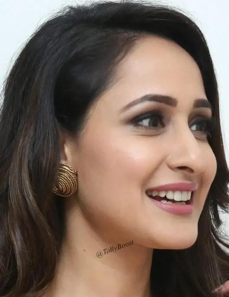 Actress Pragya Jaiswal Without Makeup Real Face Closeup